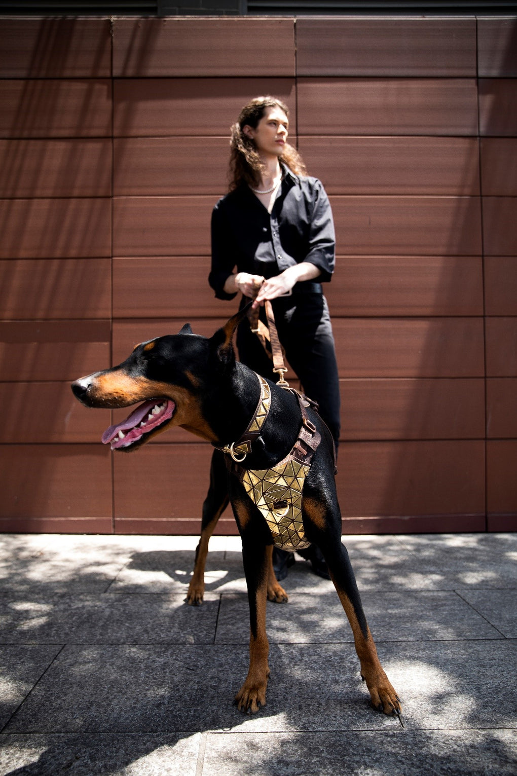 Designer dog harness COCONUT - designer harness white outdoor fabric with  rose gold hardware - vegan