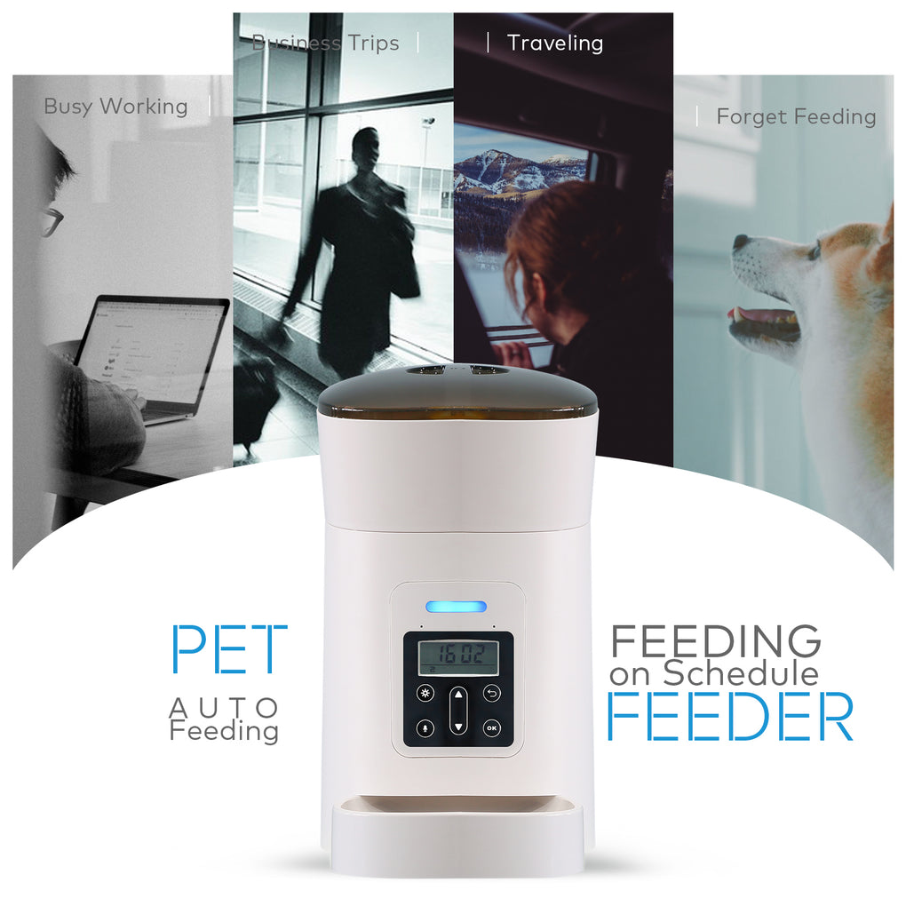 Does this Automatic Pet Feeder Really Work? 