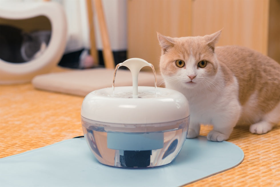Anti-slip pet feeding mat waterproof cat feeding placemat – PAWOOF